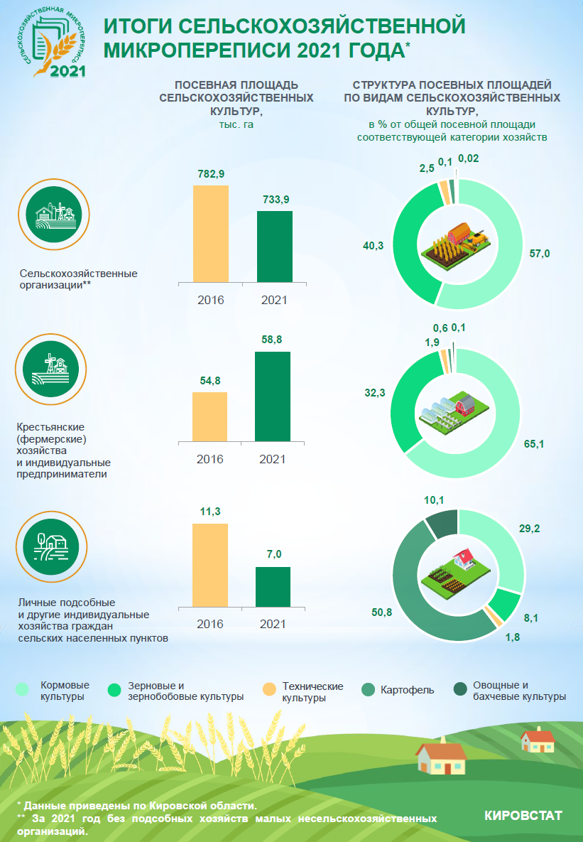 Инфографика