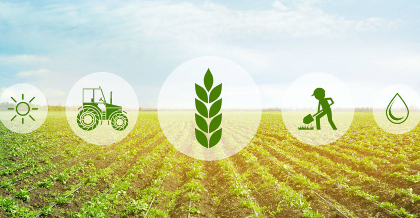 С 1 по 11 апреля 2021 года Кировстат проводит Выборочное обследование сельскохозяйственной деятельности личных подсобных хозяйств