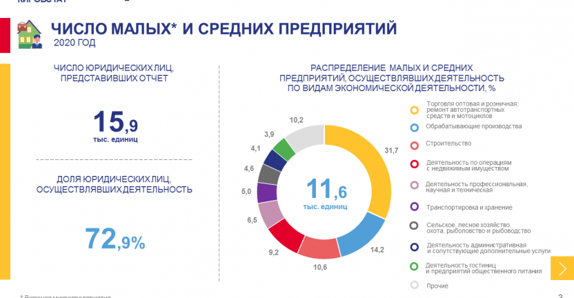 Итоги сплошного наблюдения за деятельностью субъектов малого и среднего предпринимательства за 2020 год