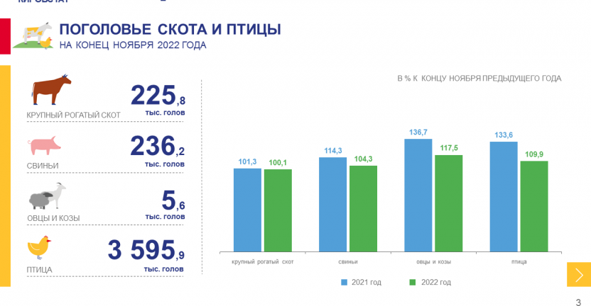 Оперативные данные деятельности сельхозорганизаций за январь – ноябрь 2022 года