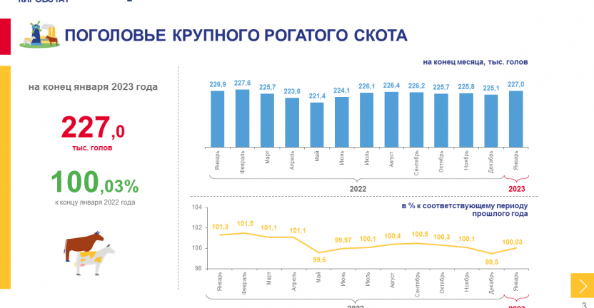 Сельское хозяйство (сельскохозяйственные организации) в январе 2023 года