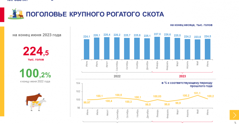 Сельское хозяйство (сельскохозяйственные организации) в январе - июне 2023 года